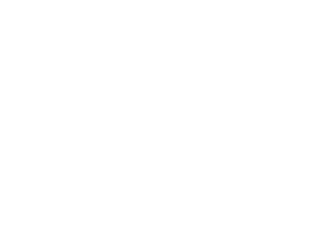 StreetWise Studios Logo with Text